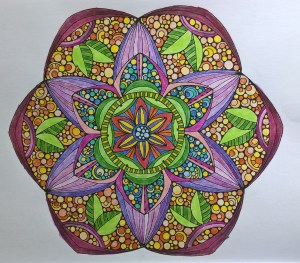 WP_20150806_08_58_12_Pro 1